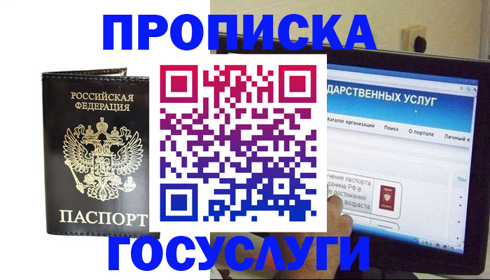 прописка гарантия в Камчатском крае